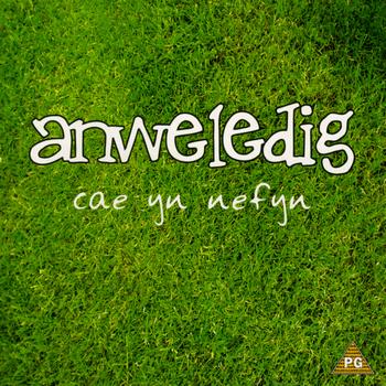 Anweledig - Cae Yn Nefyn