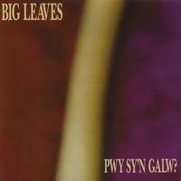big leaves - Pwy Sy'N Galw?