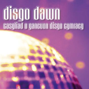 Amrywiol / Various Artists - Disco Dawn