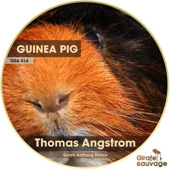 Thomas Angstrom - Guinea Pig