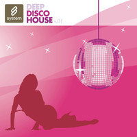 Levan - Deep Disco House v1
