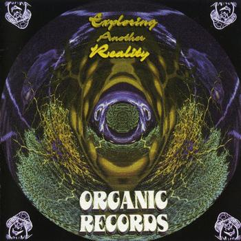 Various Artists - Exploring Another Reality