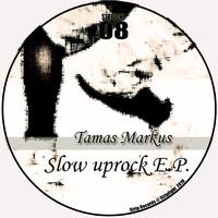 Tamas Markus - Slow Uprock