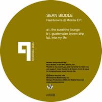 Sean Biddle - Hashbrowns @ Midnite EP