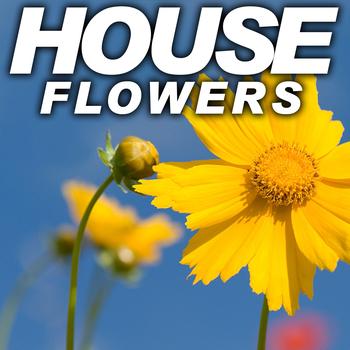 Various Artists - House Flowers
