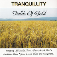 Paul Brooks - Fields Of Gold