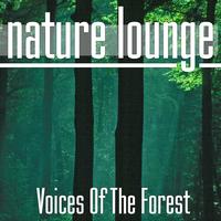 Nature Lounge Club - Voices of the Forest