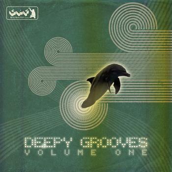 Various Artists - Deepy Grooves Vol. 1