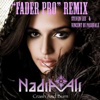 Nadia Ali - Crash And Burn (Steven Lee & Vincent di Pasquale "Fader Pro" Remix)