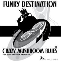 Funky Destination - Crazy Mushroom Blues
