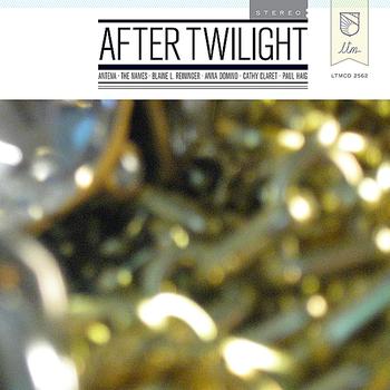 Various Artists - After Twilight