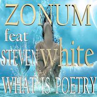 Zonum - What Is Poetry