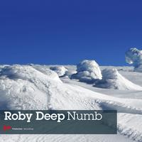 Roby Deep - Numb