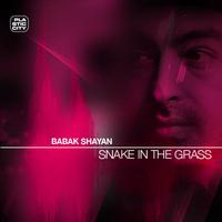Babak Shayan - Snake In The Grass