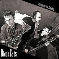 Black Cats - Introducing the Fabulous ...
