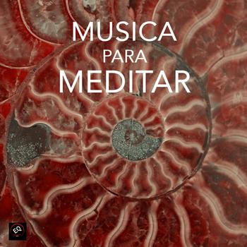 Musica para Meditar - Musica para Meditar e Musica de Relax