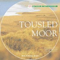 Vincent Baguerre, Aurélien Baguerre - Nature Atmosphere: Tousled Moor (Celtic Dreams)