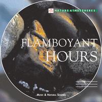 Georges Bodossian - Nature Atmosphere: Flamboyant Hours