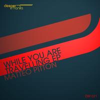 Matteo Pitton - While You Are Travelling
