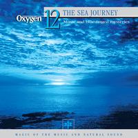 Vincent Bruley - Oxygen 12: The Sea Journey (Music and Blue-Tinged Mysteries)