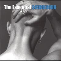 Skunkhour - The Essential