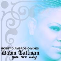Dawn Tallman - You Are Why (Bobby D'Ambrosio Mixes)