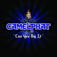 CamelPhat - Can You Dig It