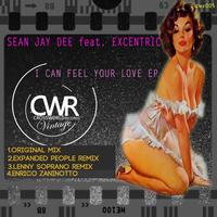 Sean Jay Dee feat. Excentric - I Can Feel Your Love