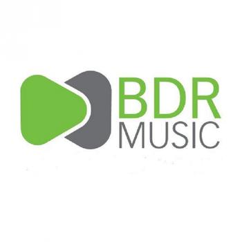 Various Artists - The Best of BDR Music 2010 Vol 1