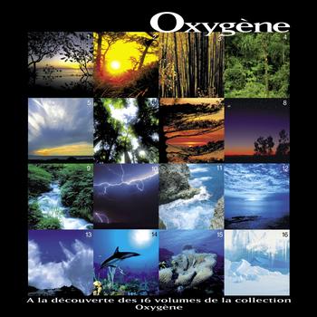 Vincent Bruley - Oxygène - Oxygen
