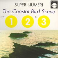 Super Numeri - The Coastal Bird Scene