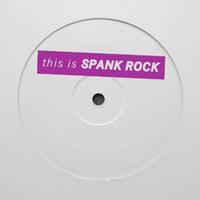 Spank Rock - The Backyard EP