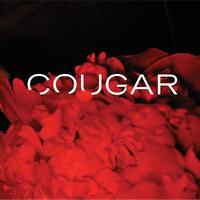 Cougar - Thundersnow / Rhinelander