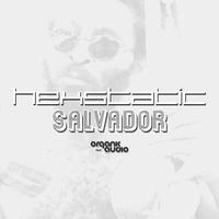 Hexstatic - Salvador