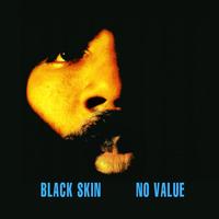 Cody ChesnuTT - Black Skin No Value