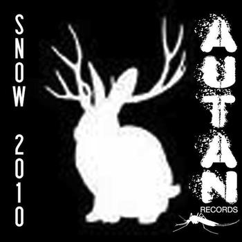 Various Artists - Snow 2010