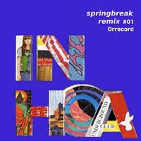 In Hoa - Springbreak Remix, Vol. 1