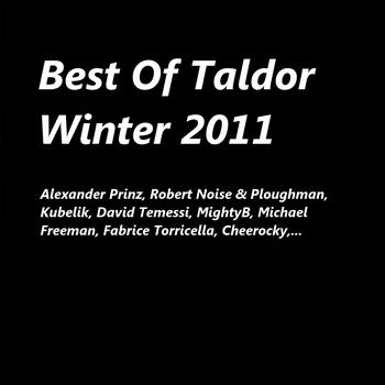 Various Artists - Best of Taldor Winter 2011