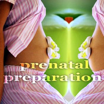 Various Artists - Prenatal Preparation (Creative Progressive House Music)