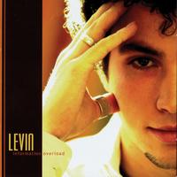 Levin - Information Overload