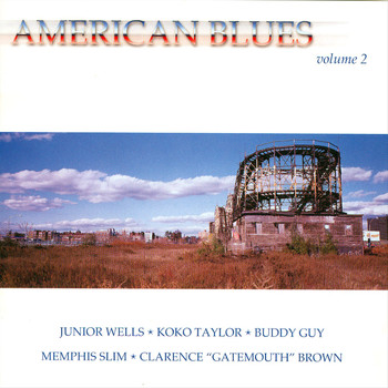 Various Artists - American Blues Volume 2