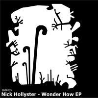 Nick Hollyster - Wonder How
