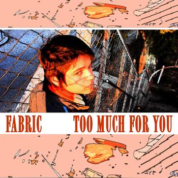 Fabric - Too Much For You