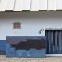 A.K.O. - In your mind a lost language