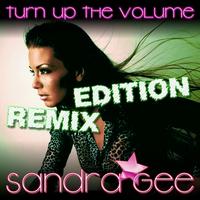 Sandra Gee - Turn Up the Volume (Remix Edition)
