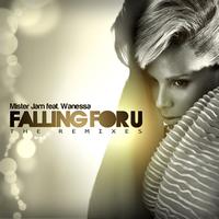 Mister Jam - Falling for U (The Remixes)