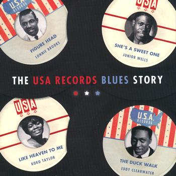 Various Artists - The USA Records Blues Story
