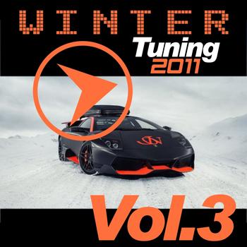 Various Artists - Winter Tuning 2011, Vol. 3