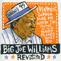 Big Joe Williams - Big Joe Williams Revisited