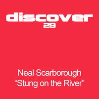 Neal Scarborough - Stung On River